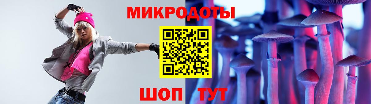 Псилоцибиновые грибы Psilocybe  Вход с VPN  Большой Камень 